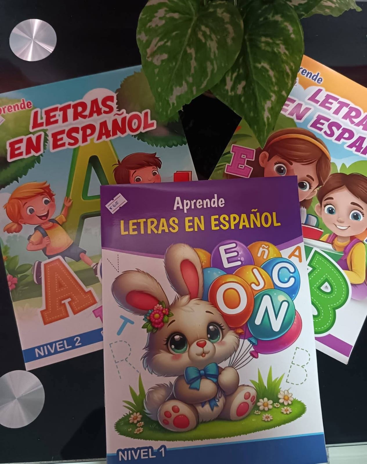 LIBROS DE APRENDIZAJE